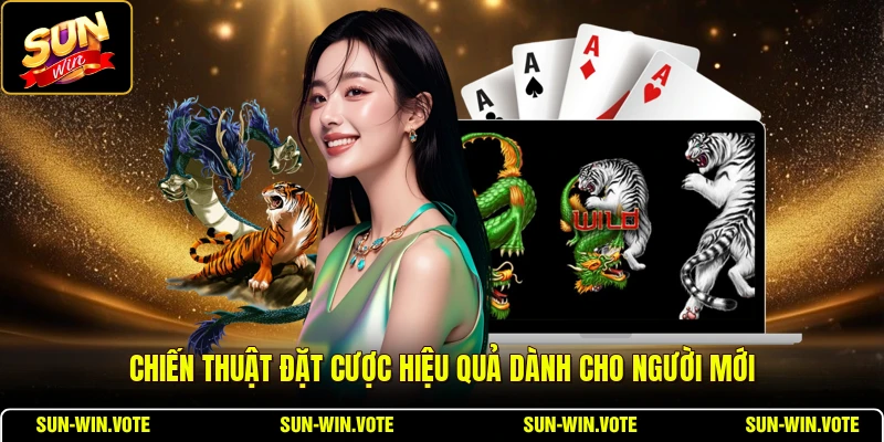 Rồng Hổ SUNWIN - Hướng Dẫn Chơi Bài Dành Cho Tân Thủ 3 Chiến thuật đặt cược hiệu quả dành cho người mới