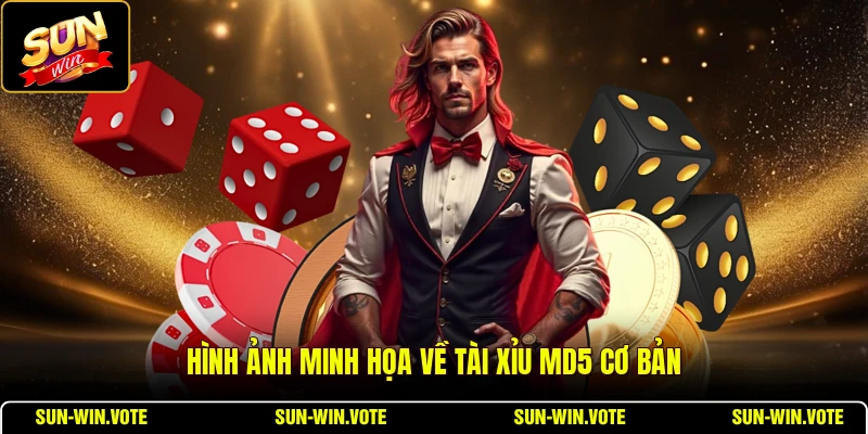 Tài Xỉu MD5 - Bí Quyết Thắng Lớn Cùng Cổng Game SUNWIN 1 Hình ảnh minh họa về tài xỉu MD5 cơ bản
